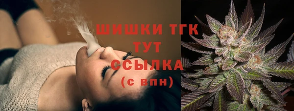 твердый Белокуриха