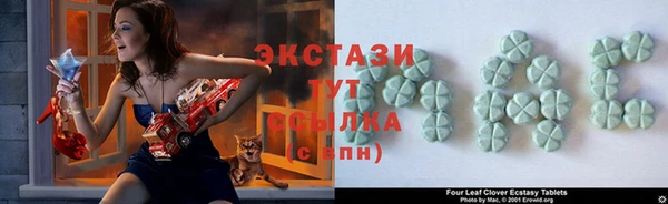 прущие грибы Беломорск