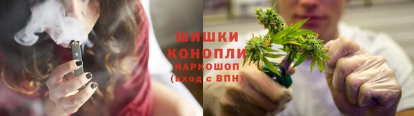 прущие грибы Беломорск