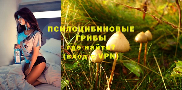 твердый Белокуриха