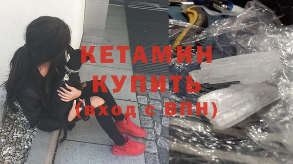 прущие грибы Беломорск