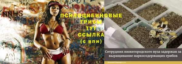 прущие грибы Беломорск