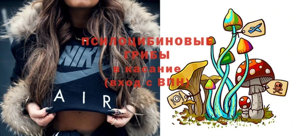 твердый Белокуриха