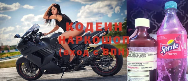 прущие грибы Беломорск