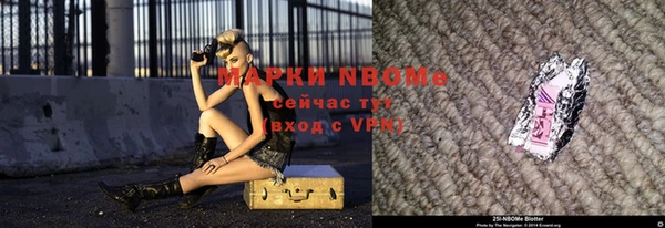 прущие грибы Беломорск