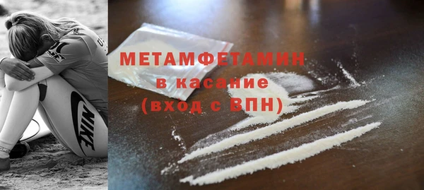 прущие грибы Беломорск