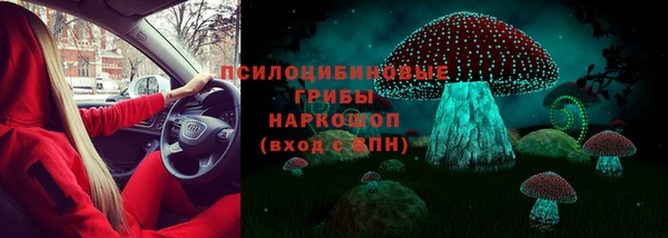 твердый Белокуриха